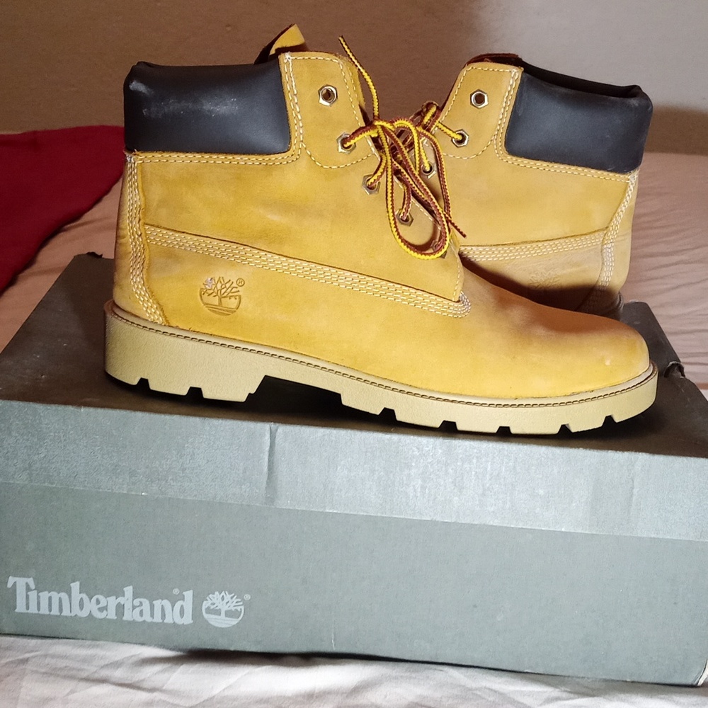 These are brand new junior Timberland's.